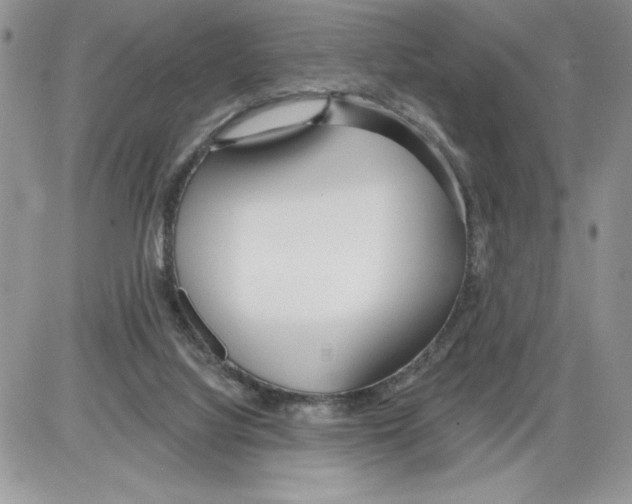 X0000086070068200704202136