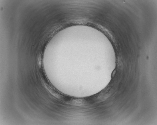 X0000086070069200704202136