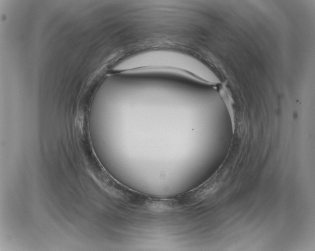 X0000086070072200704202137