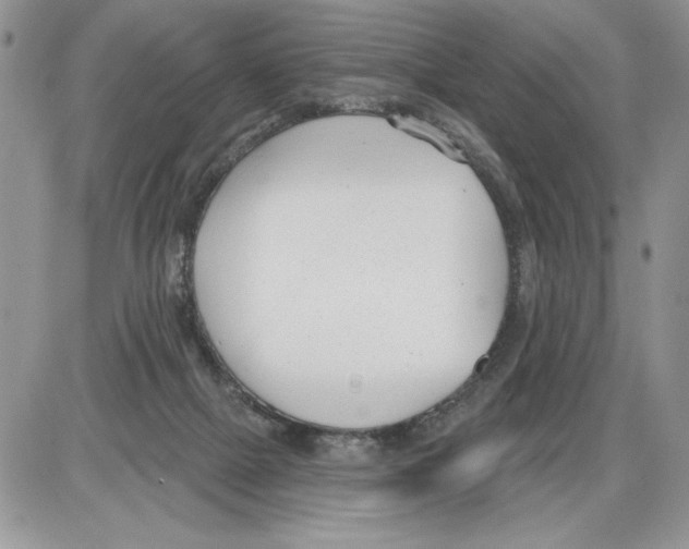 X0000086070073200704202137