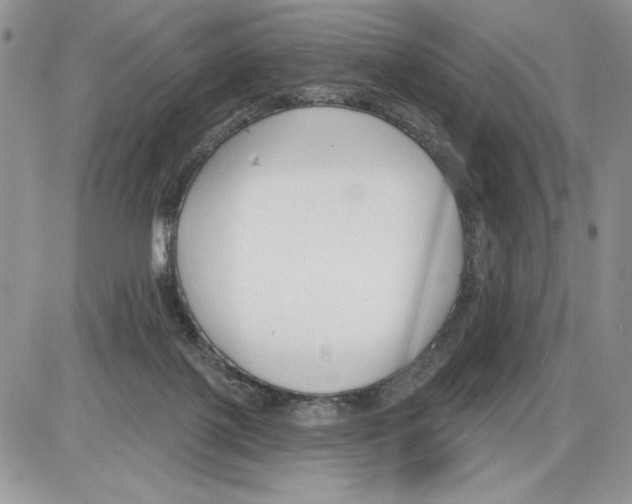 X0000086070075200704202137