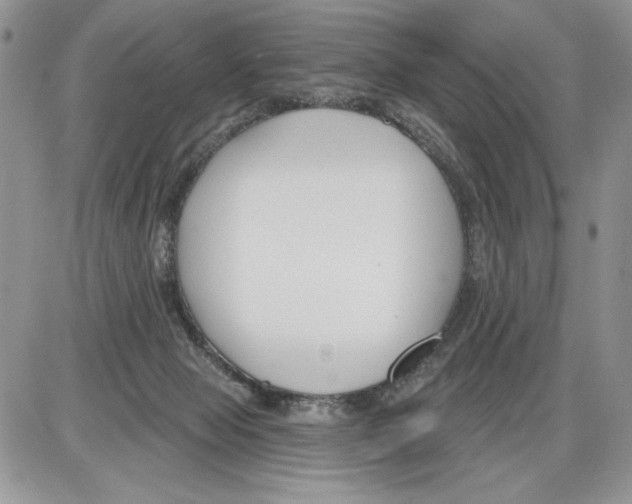 X0000086070077200704202137