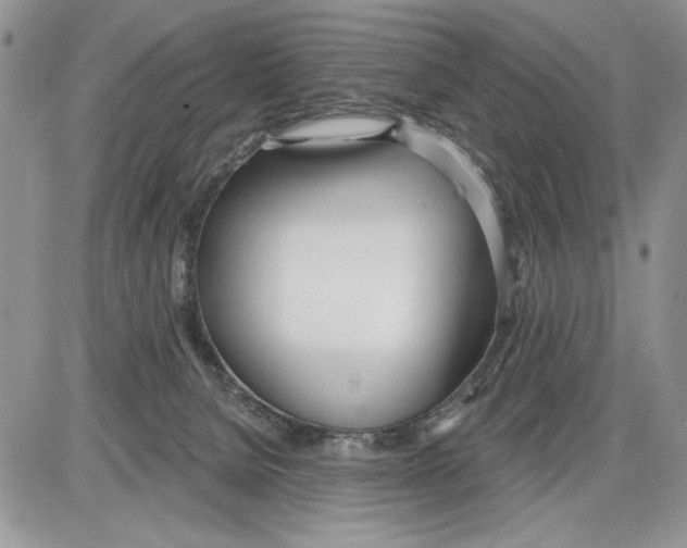 X0000086070080200704202137