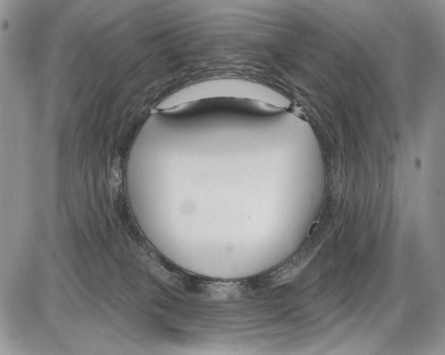 X0000086070085200704202137