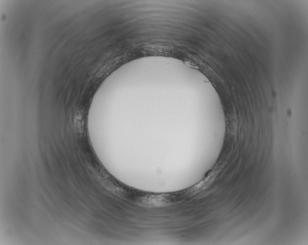 X0000086070086200704202137