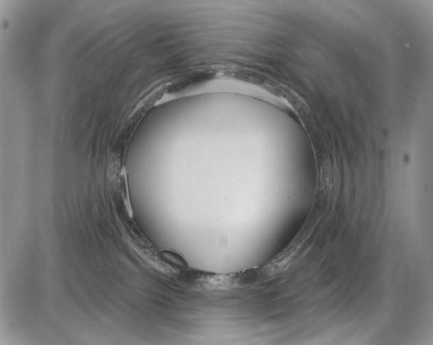 X0000086070092200704202137