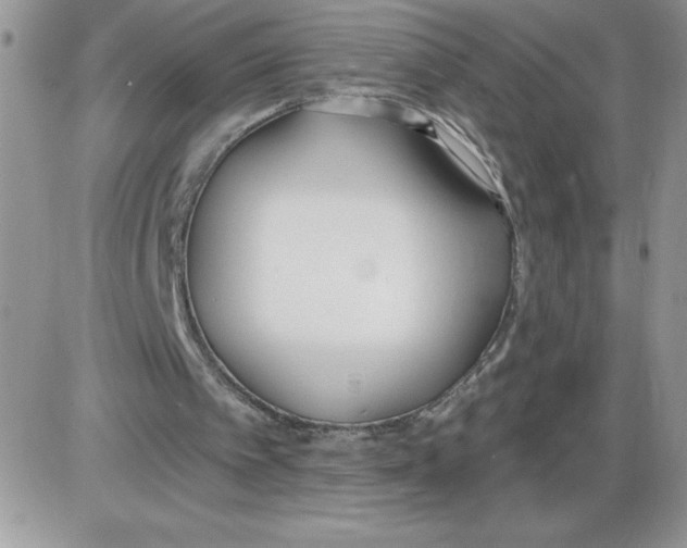 X0000086070097200704202136