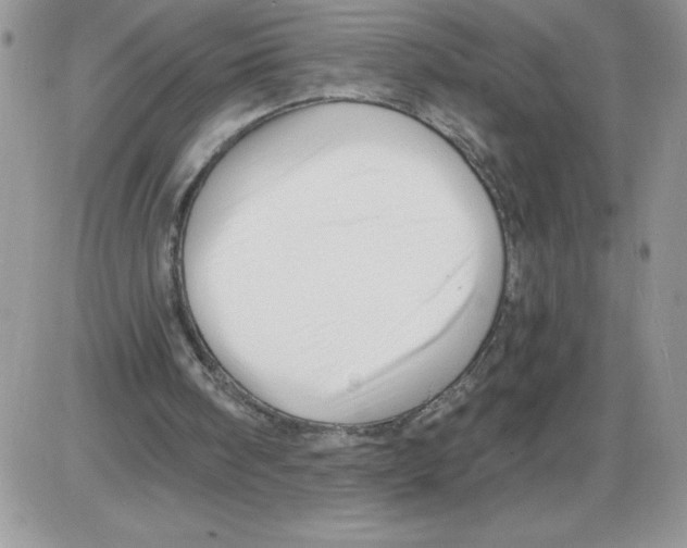 X0000086070098200704202136