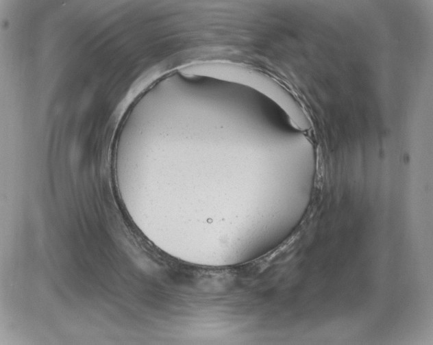 X0000086070099200704202136