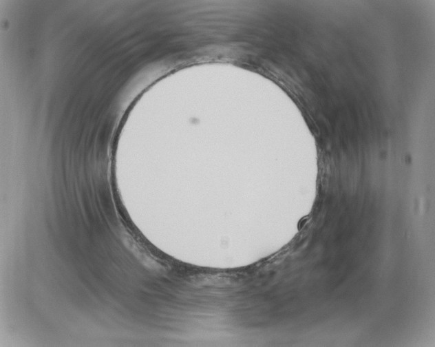 X0000086070100200704202136