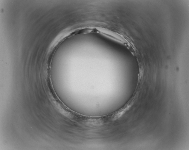 X0000086070101200704202136