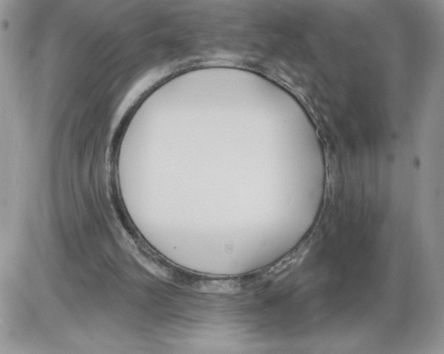 X0000086070102200704202136