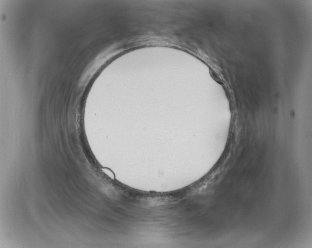 X0000086070103200704202136