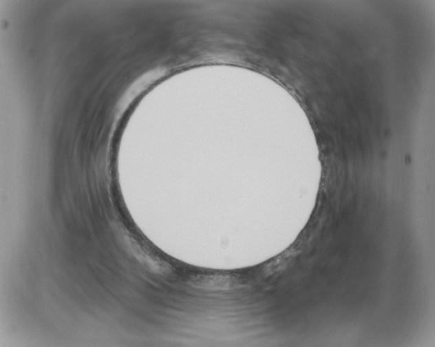 X0000086070104200704202136