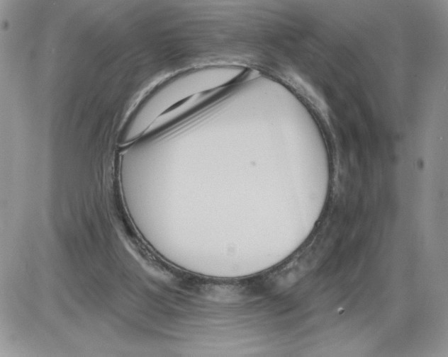 X0000086070107200704202136