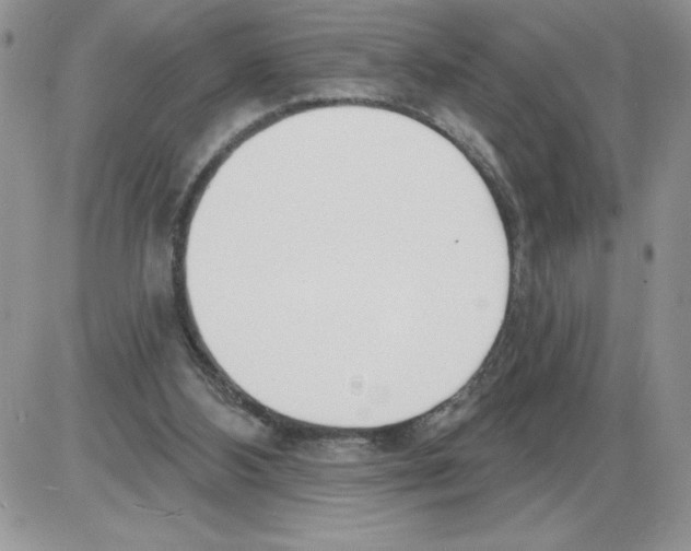 X0000086070108200704202136