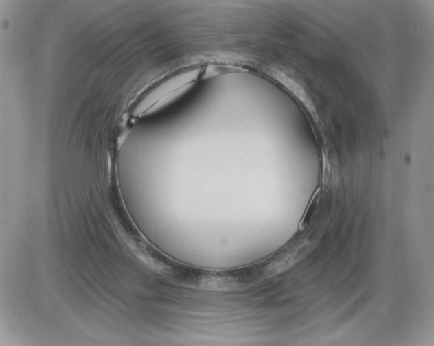 X0000086070109200704202136