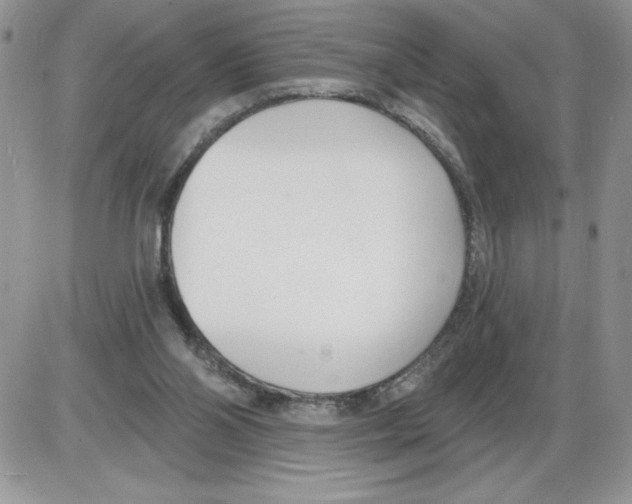 X0000086070110200704202136