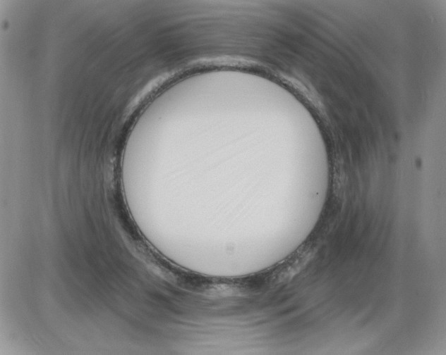 X0000086070111200704202136