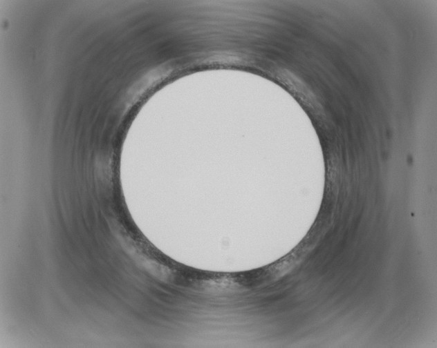 X0000086070112200704202136