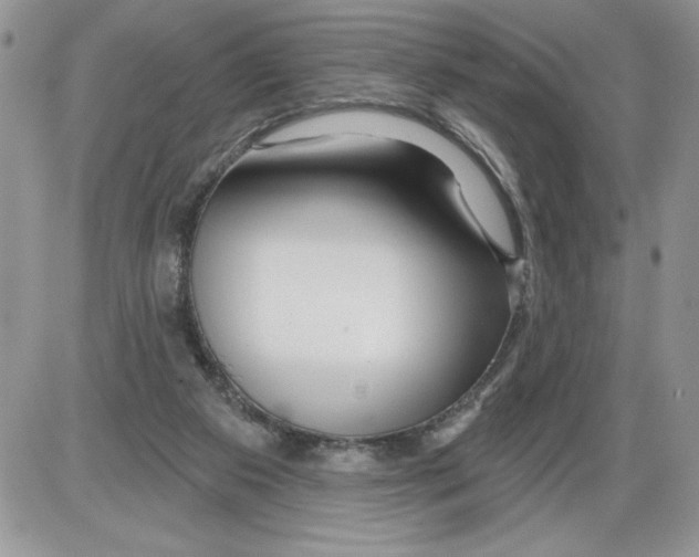 X0000086070113200704202136