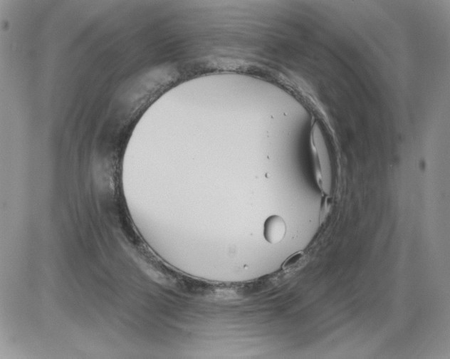 X0000086070114200704202136