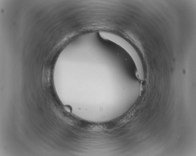 X0000086070115200704202136