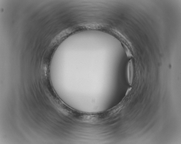 X0000086070117200704202136