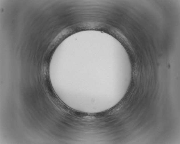 X0000086070119200704202136