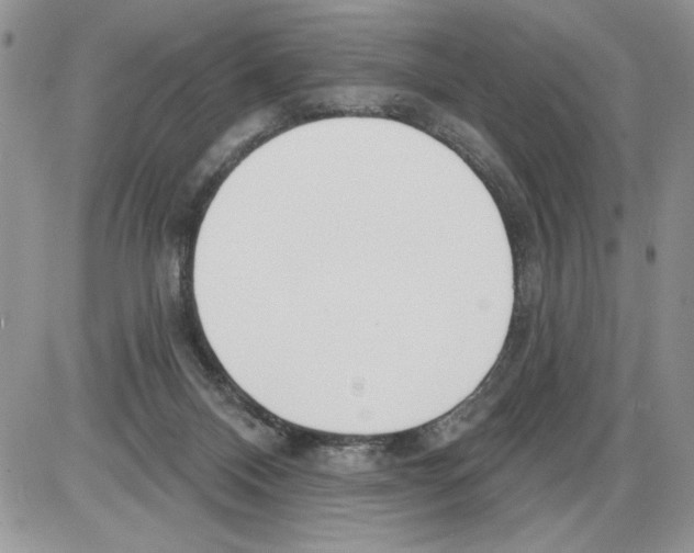 X0000086070120200704202136