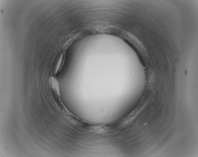 X0000086070121200704202136