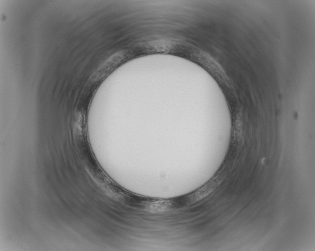 X0000086070122200704202136