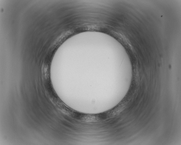 X0000086070123200704202136