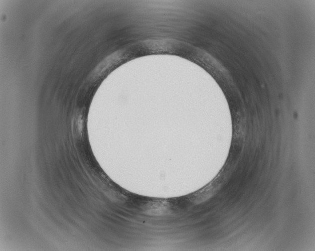 X0000086070124200704202136