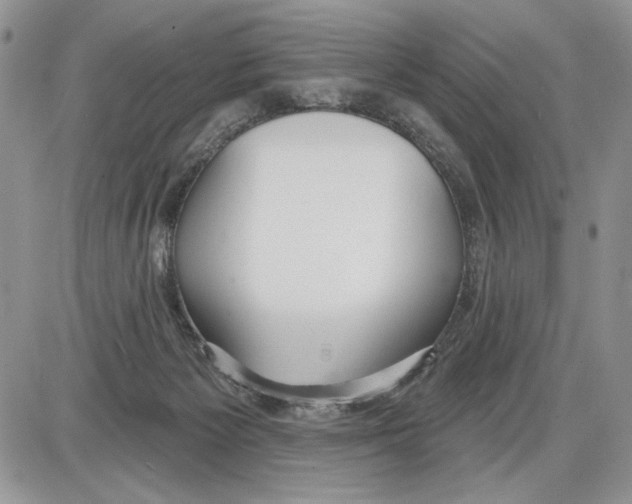 X0000086070125200704202136