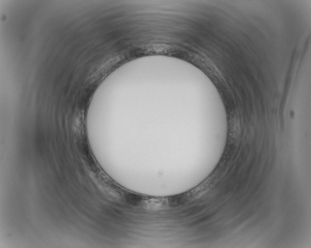 X0000086070126200704202136