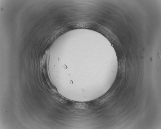 X0000086070127200704202136