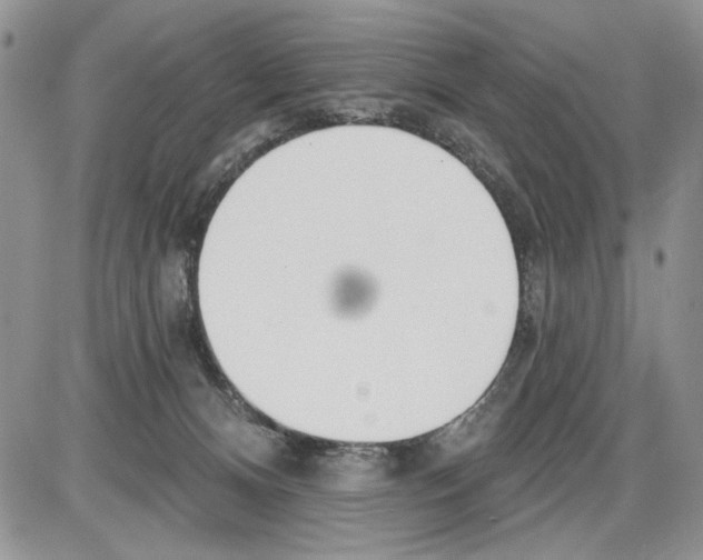 X0000086070128200704202136