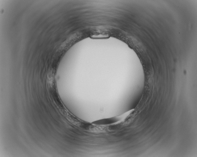 X0000086070129200704202136