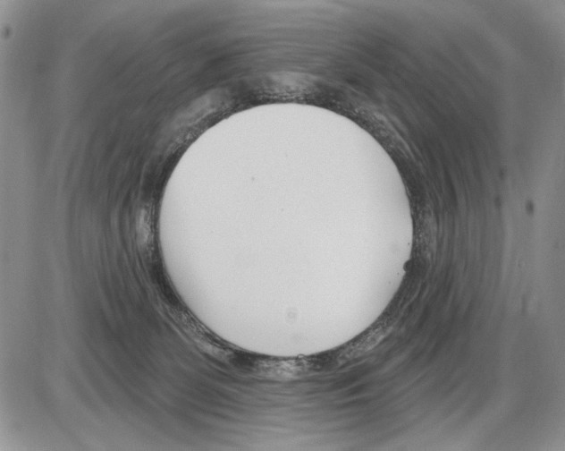 X0000086070131200704202136