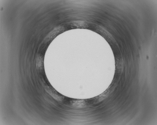 X0000086070132200704202136