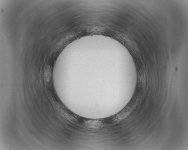 X0000086070133200704202136