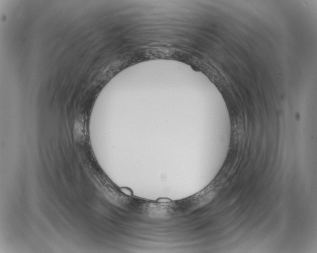 X0000086070134200704202136