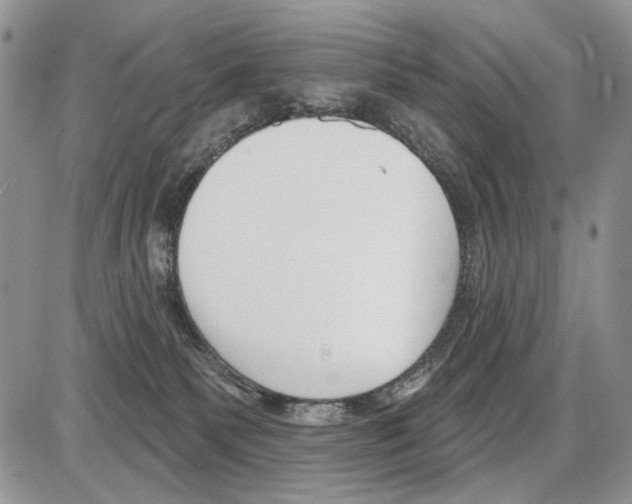 X0000086070135200704202136