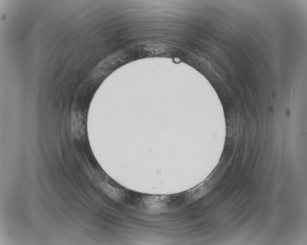 X0000086070136200704202136