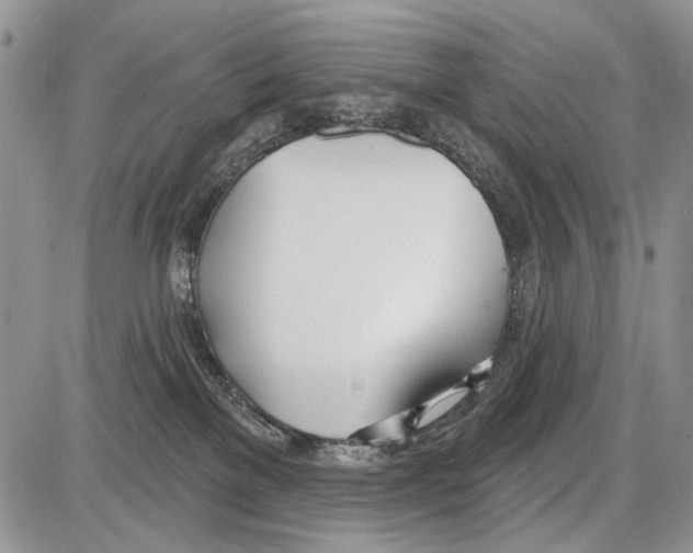 X0000086070137200704202136