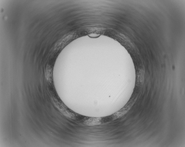 X0000086070138200704202135