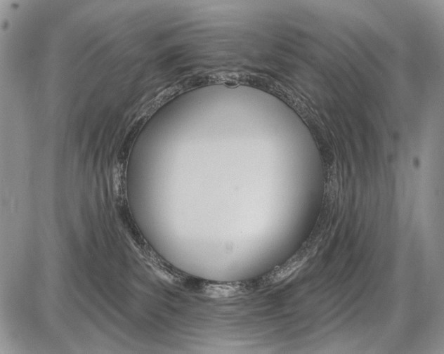 X0000086070139200704202135