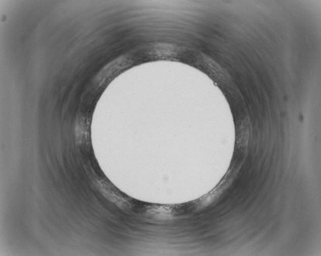 X0000086070140200704202135