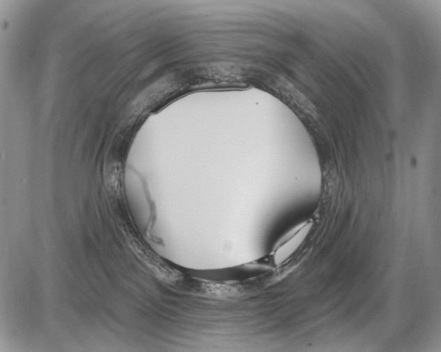 X0000086070141200704202135